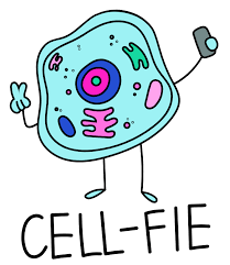Art Logo 